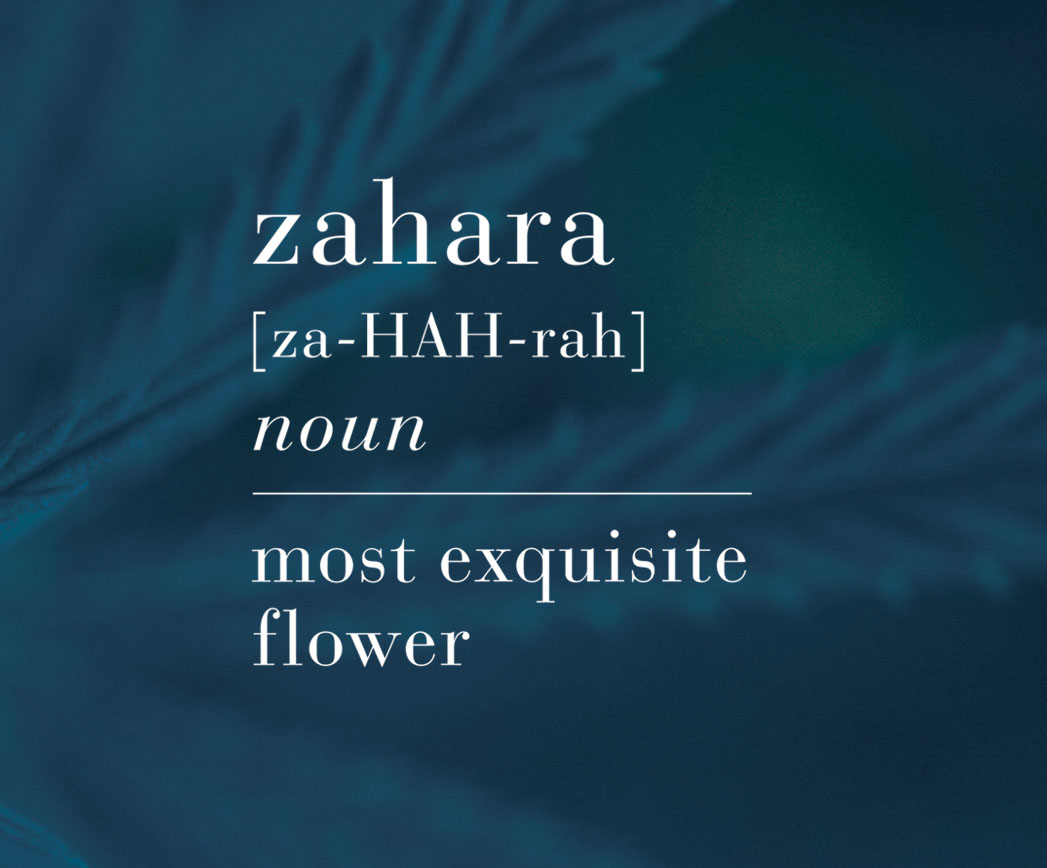 Zahara Cannabis: Attleboro dispensary